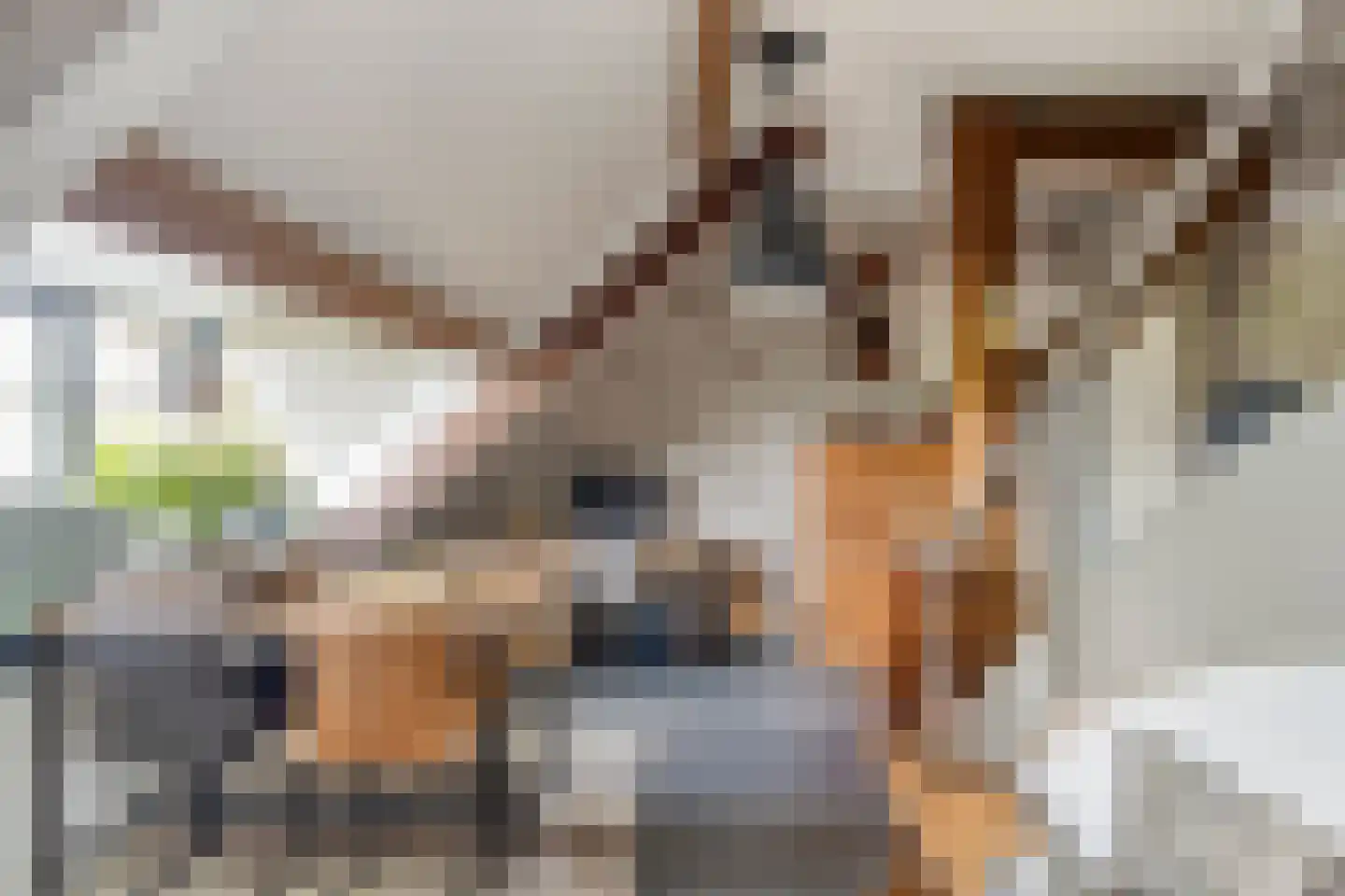 Oosteind 126 Papendrecht thumbnail 10