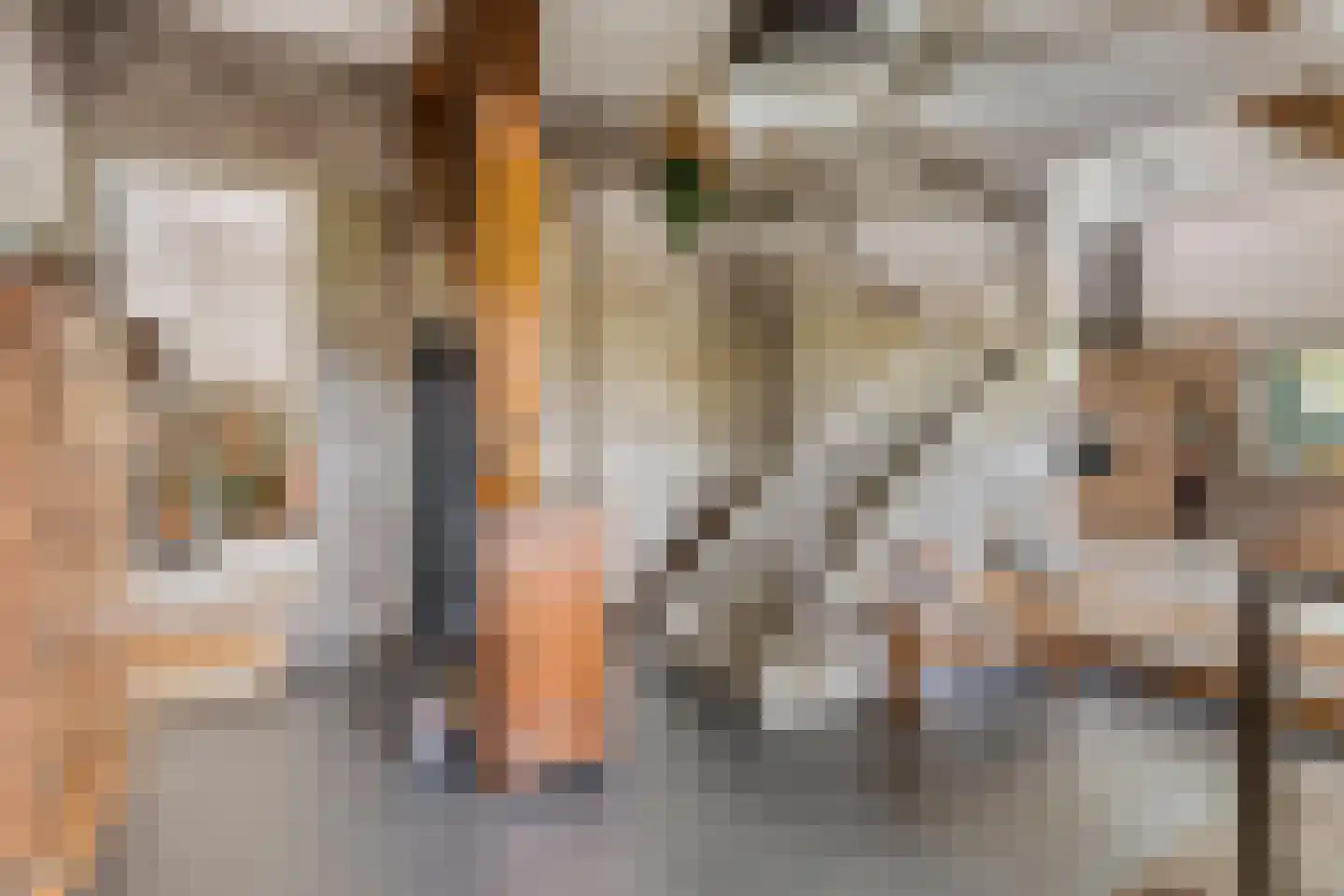 Oosteind 126 Papendrecht thumbnail 11