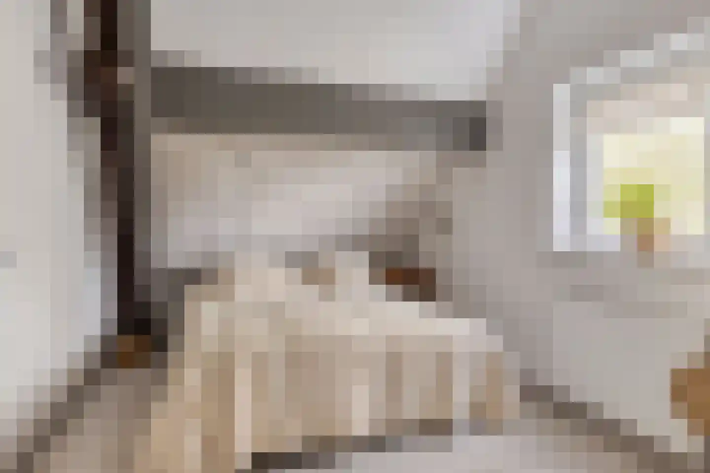 Oosteind 126 Papendrecht thumbnail 14