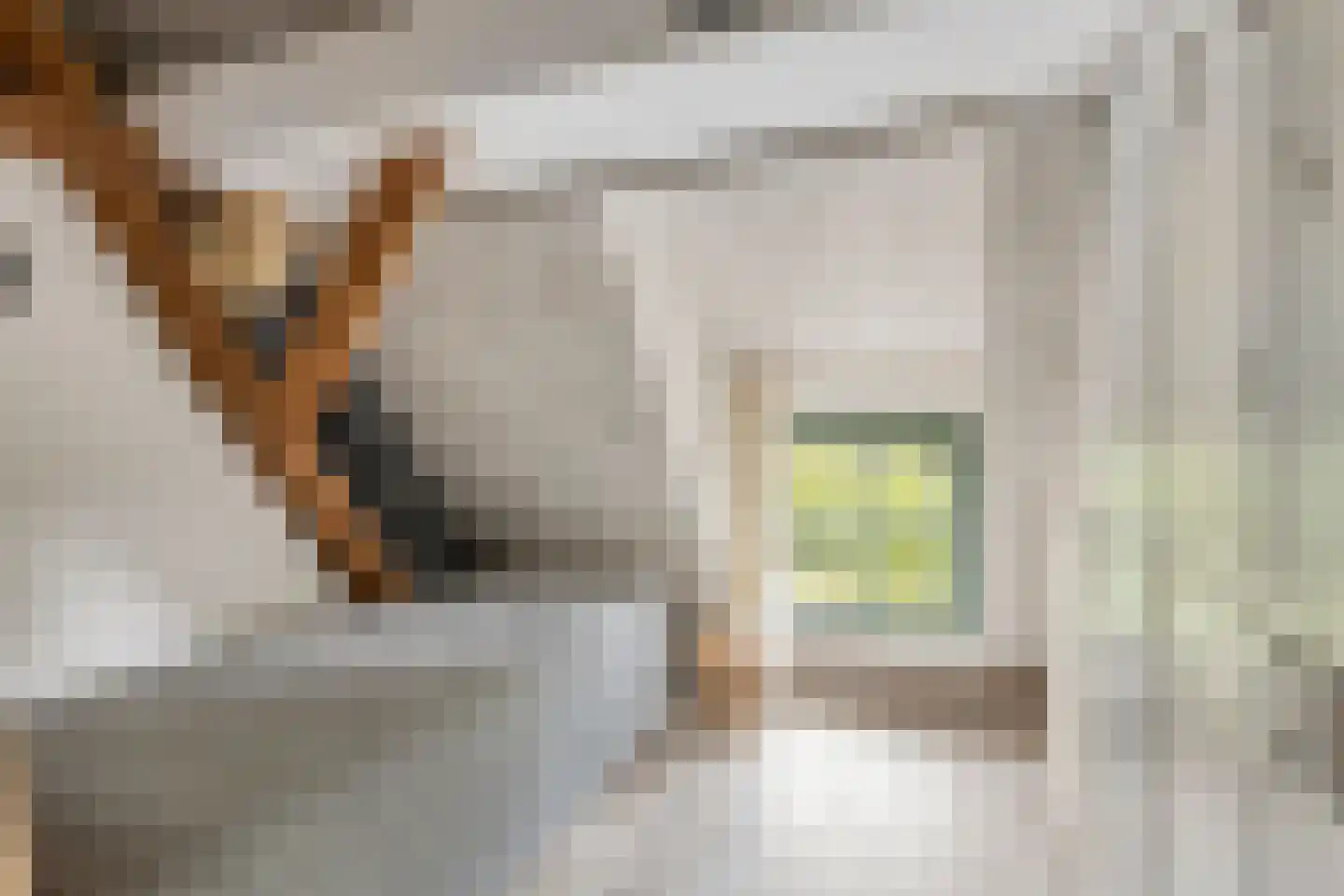 Oosteind 126 Papendrecht thumbnail 16