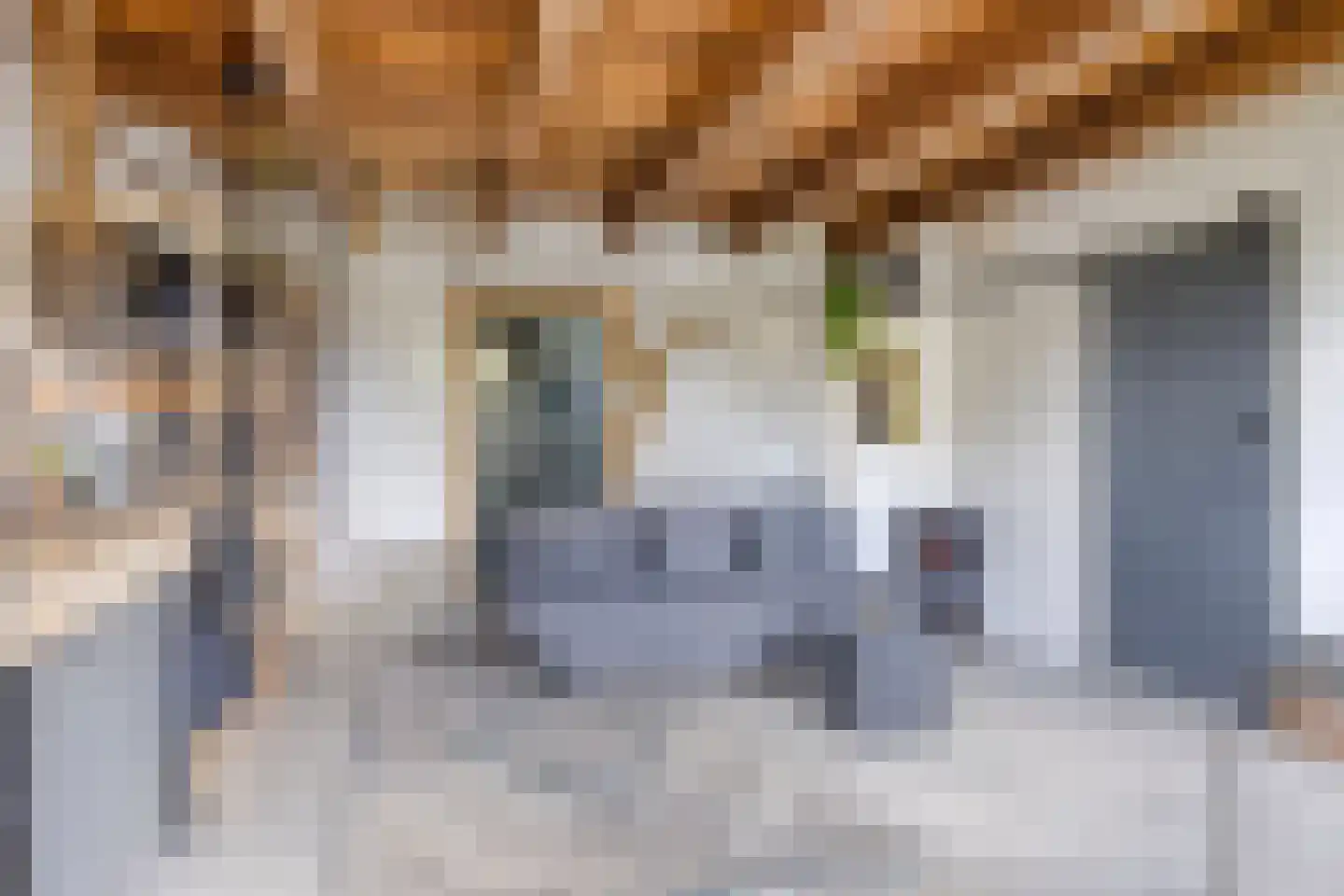 Oosteind 126 Papendrecht thumbnail 22