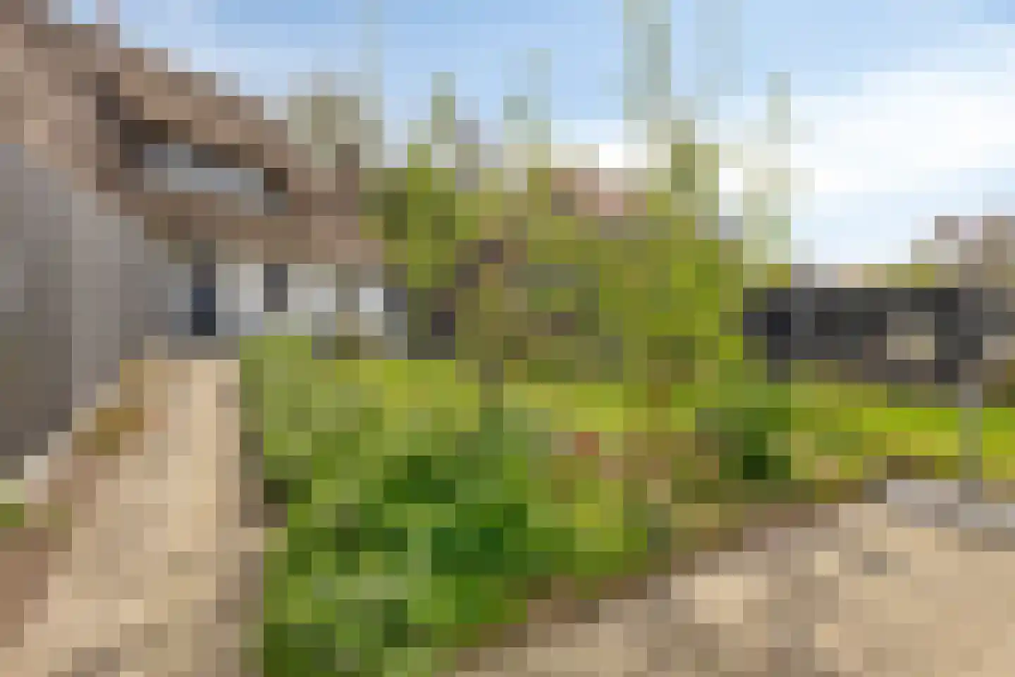 Oosteind 126 Papendrecht thumbnail 30