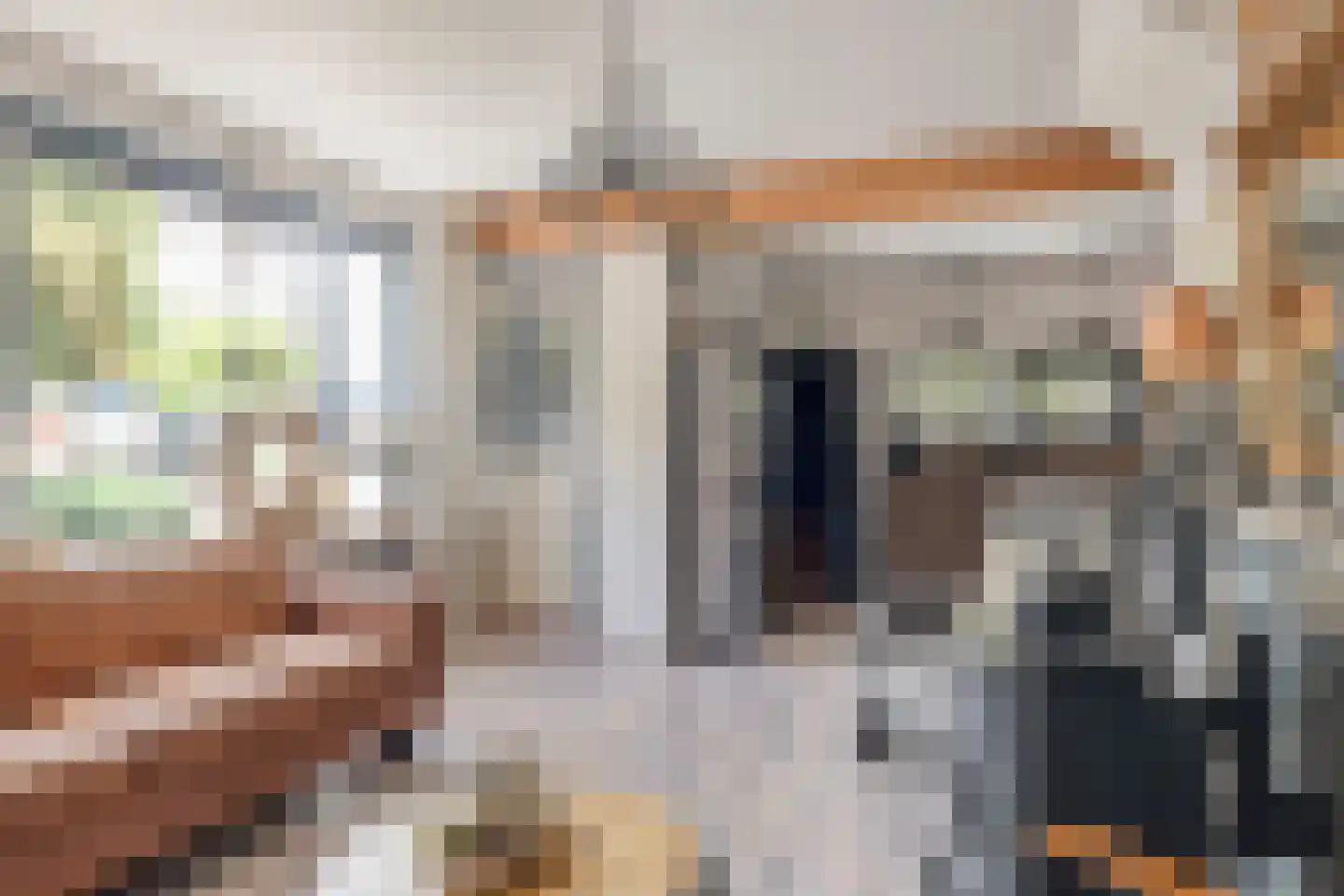 Oosteind 126 Papendrecht thumbnail 5