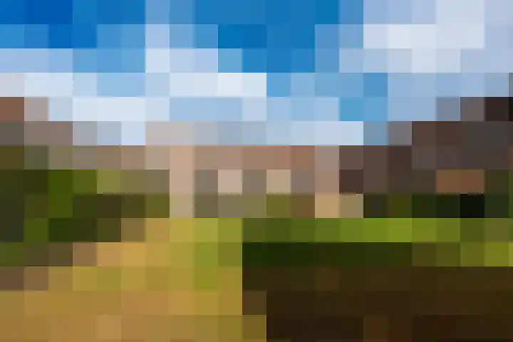 Oosteind 21 Norg thumbnail 14