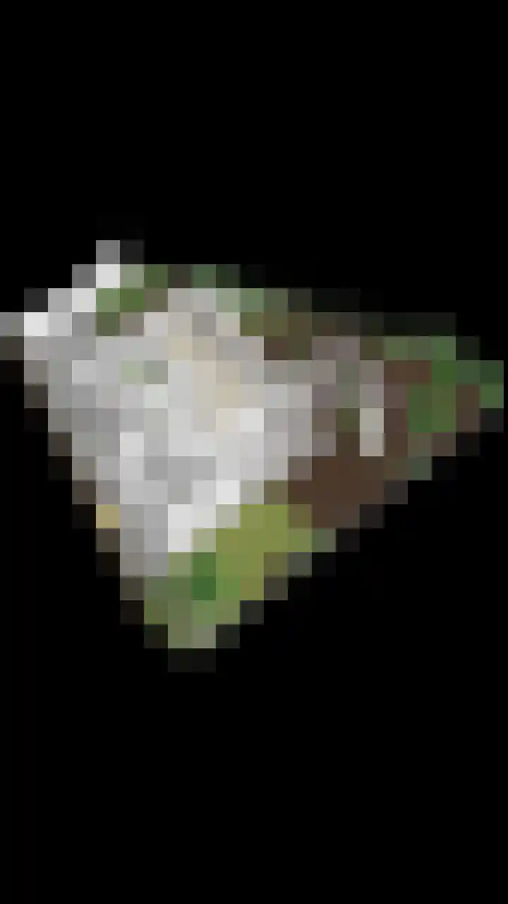 Oosteind 21 Norg thumbnail 18
