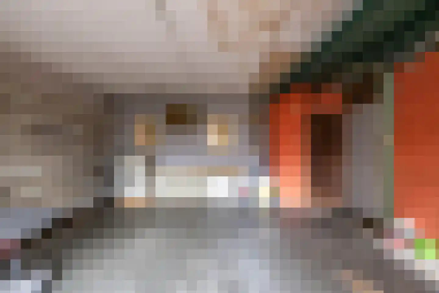 Oosteind 21 Norg thumbnail 22