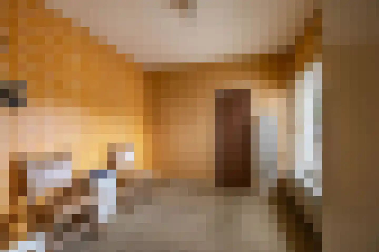 Oosteind 21 Norg thumbnail 27