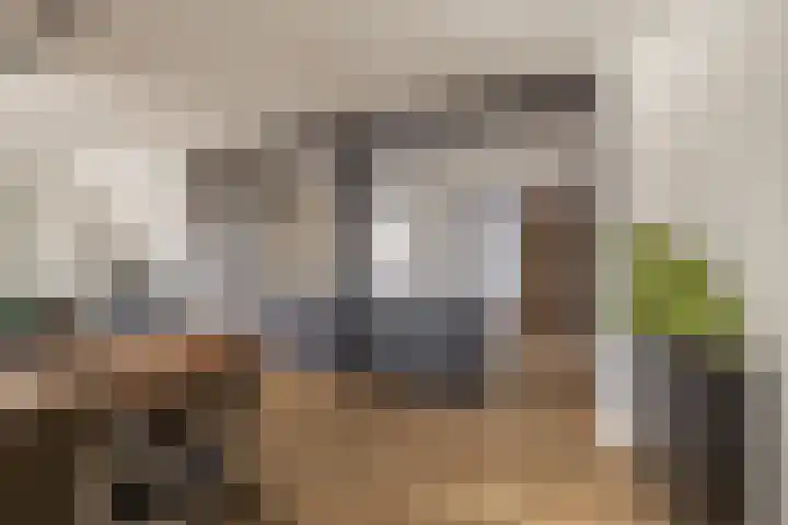 Oosteind 28 Sprang-Capelle thumbnail 12