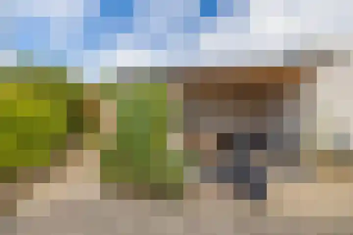 Oosteind 28 Sprang-Capelle thumbnail 17