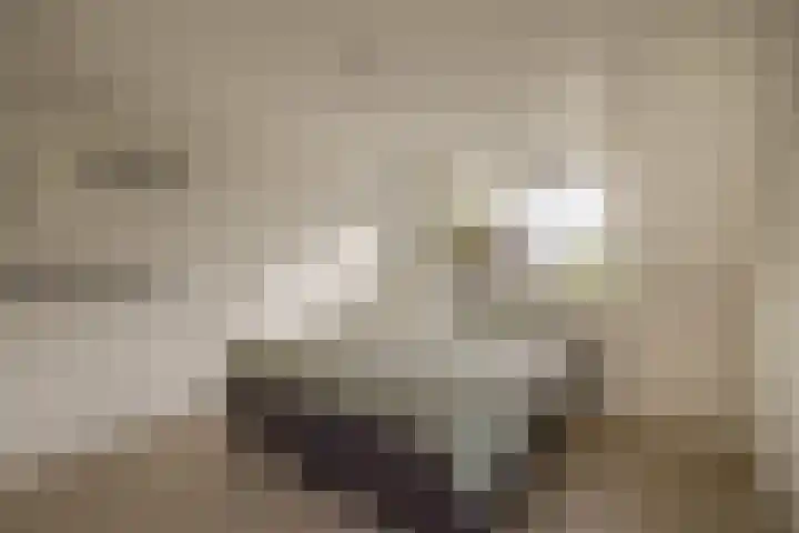 Oosteind 28 Sprang-Capelle thumbnail 19