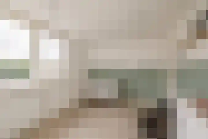 Oosteind 28 Sprang-Capelle thumbnail 20