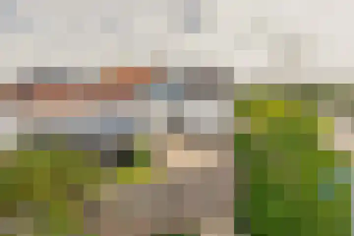 Oosteind 28 Sprang-Capelle thumbnail 7
