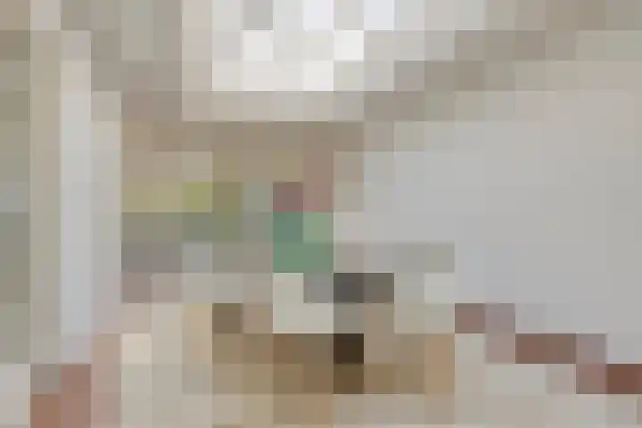 Oosteind 59 Sprang-Capelle thumbnail 13