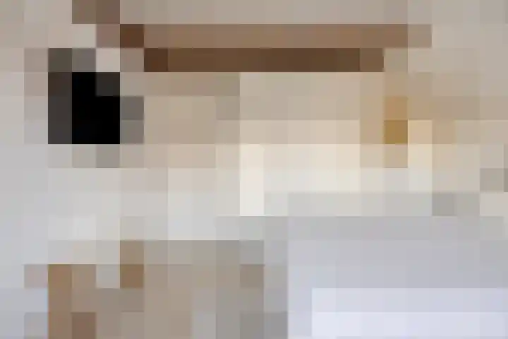 Oosteind 59 Sprang-Capelle thumbnail 18