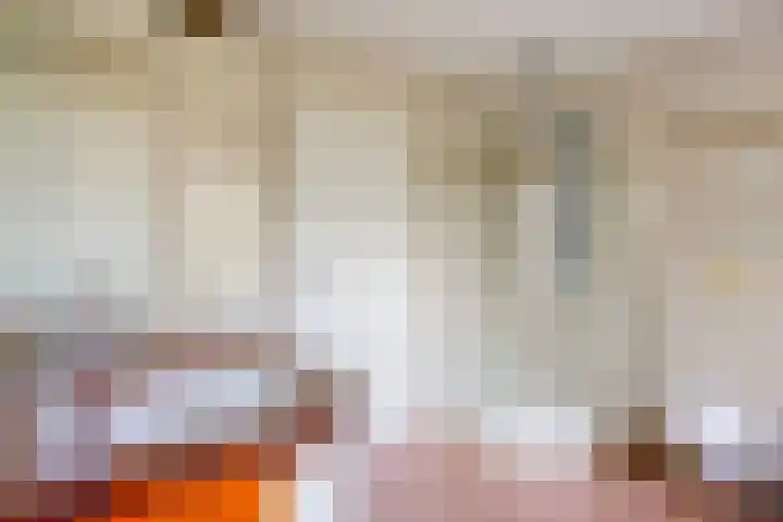 Oosteind 59 Sprang-Capelle thumbnail 19