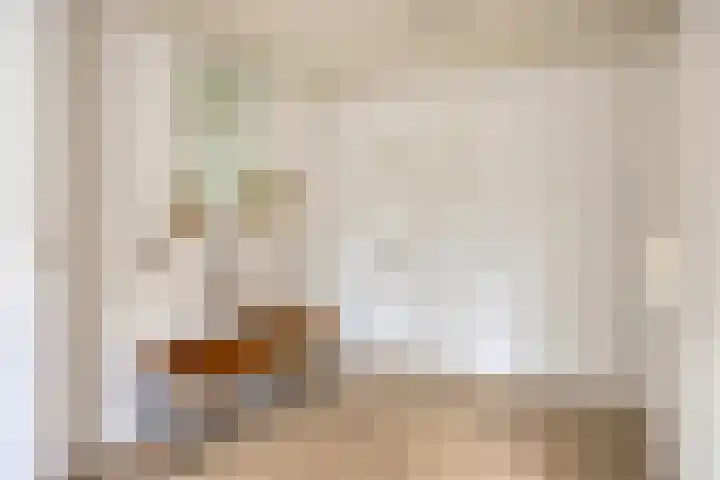 Oosteind 59 Sprang-Capelle thumbnail 22