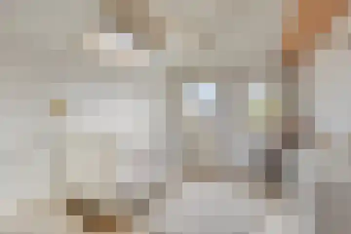 Oosteind 59 Sprang-Capelle thumbnail 23