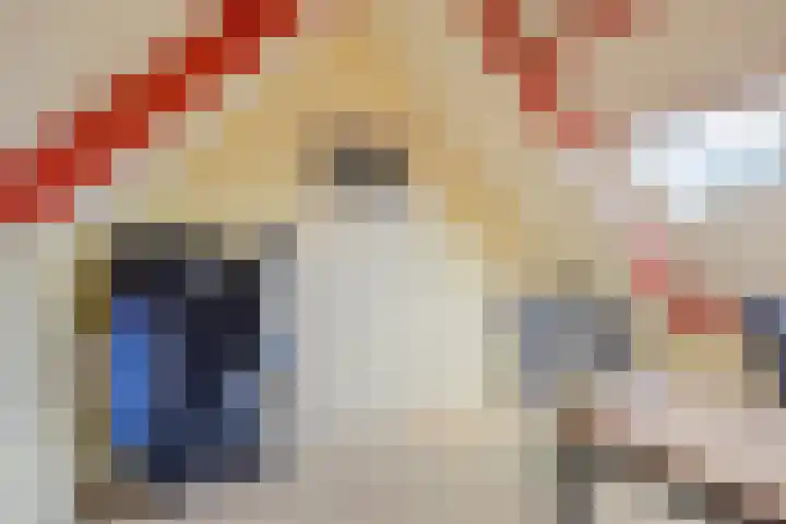 Oosteind 59 Sprang-Capelle thumbnail 31