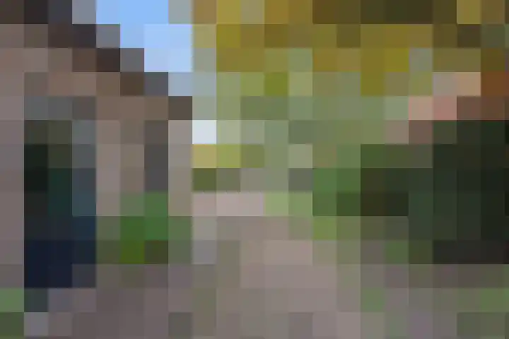 Oosteind 59 Sprang-Capelle thumbnail 37