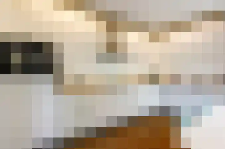 Oosteind 59 Sprang-Capelle thumbnail 44