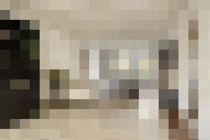 Oosteind 59 Sprang-Capelle thumbnail 7