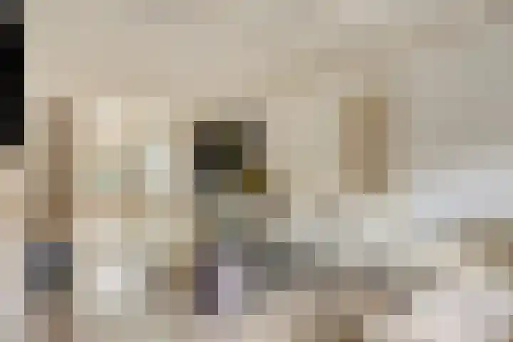 Oosteind 59 Sprang-Capelle thumbnail 8
