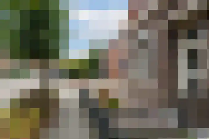 Oosteind 70 Sprang-Capelle thumbnail 10