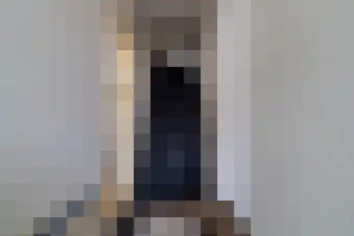 Oosteind 70 Sprang-Capelle thumbnail 12