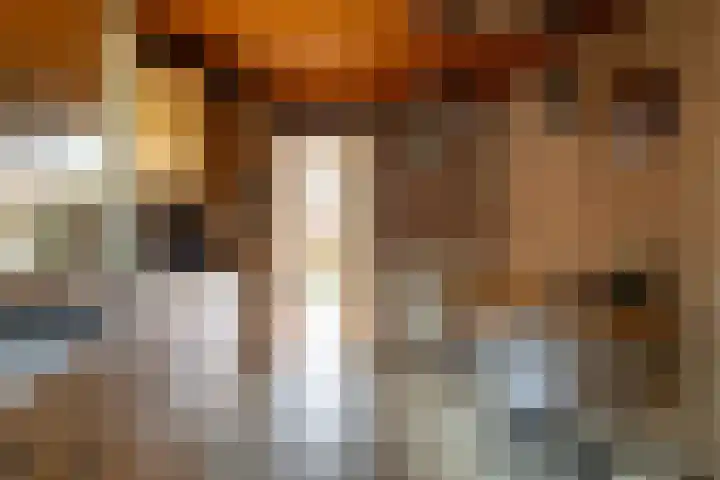 Oosteind 70 Sprang-Capelle thumbnail 16