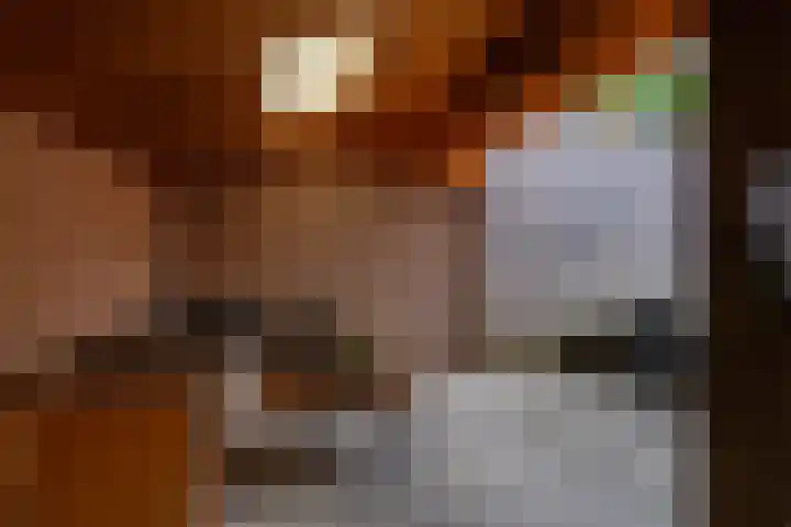 Oosteind 70 Sprang-Capelle thumbnail 7