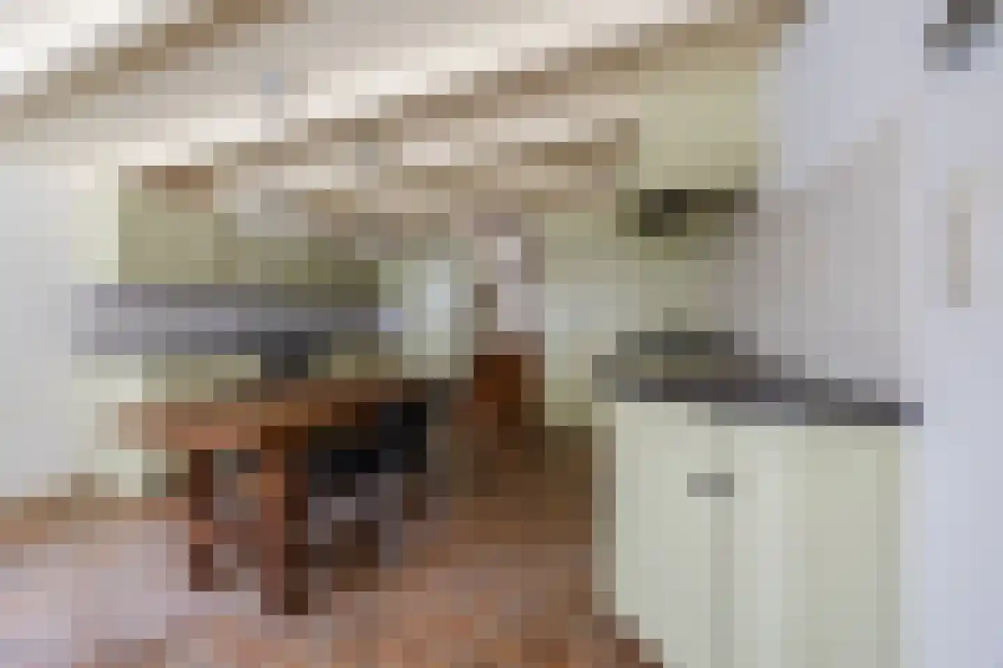 Oosteind 8 Papendrecht thumbnail 16