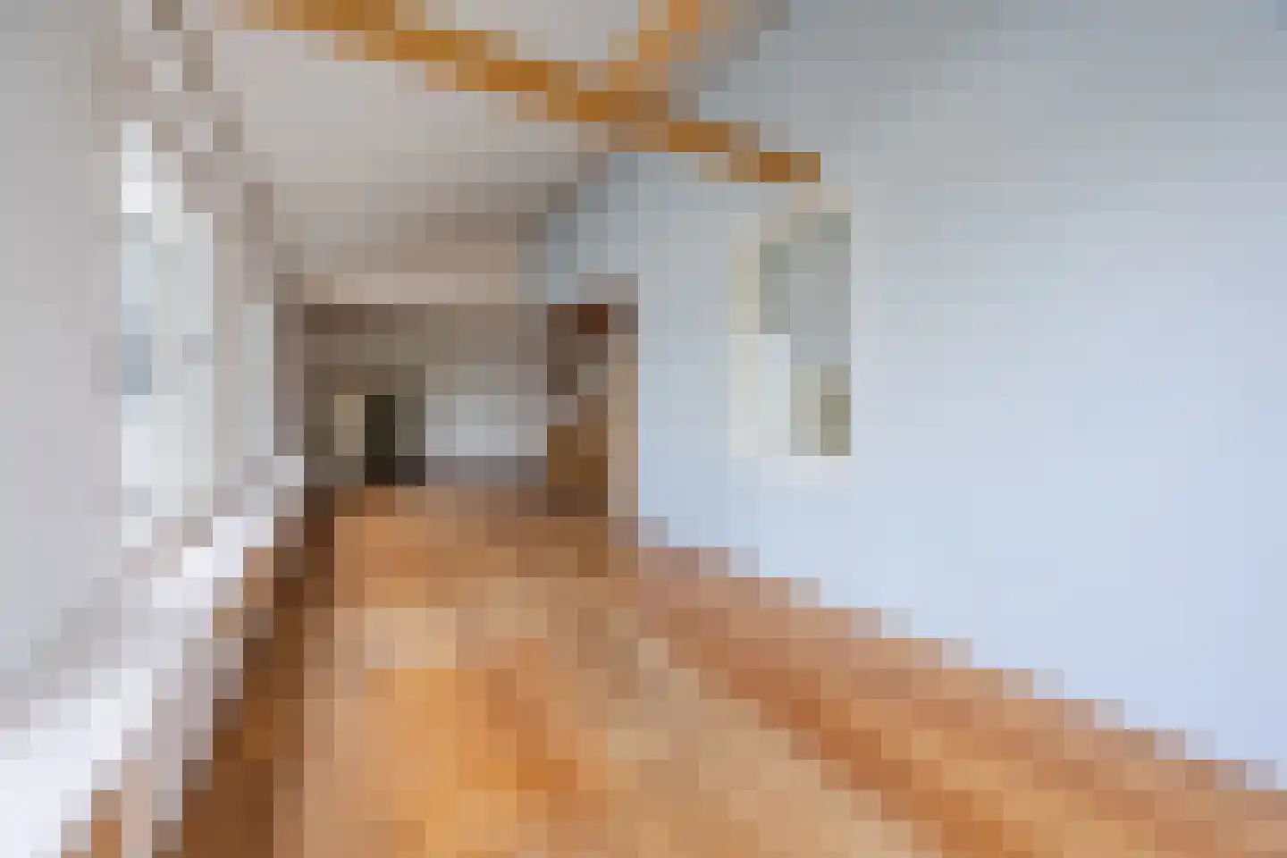 Oosteind 8 Papendrecht thumbnail 22