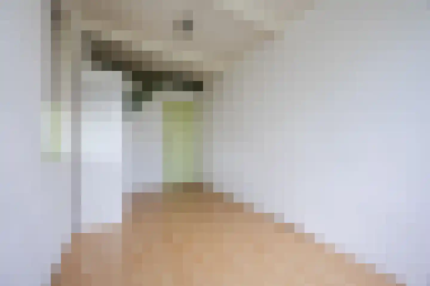 Oosteind 8 Papendrecht thumbnail 27