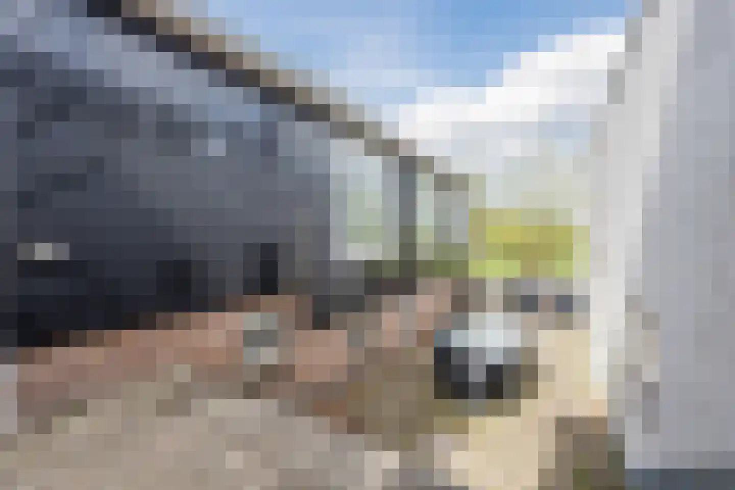 Oosteind 8 Papendrecht thumbnail 50