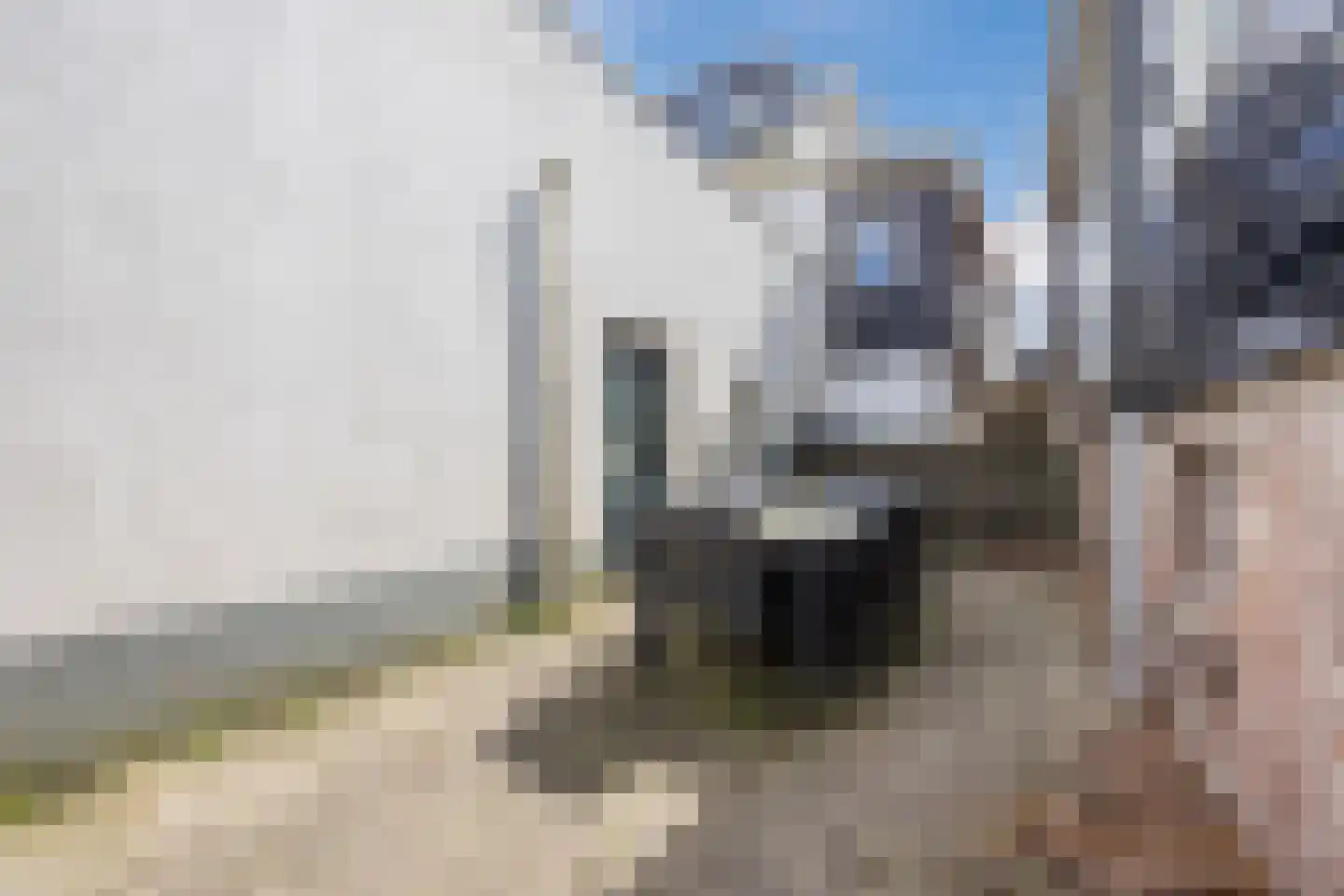 Oosteind 8 Papendrecht thumbnail 52