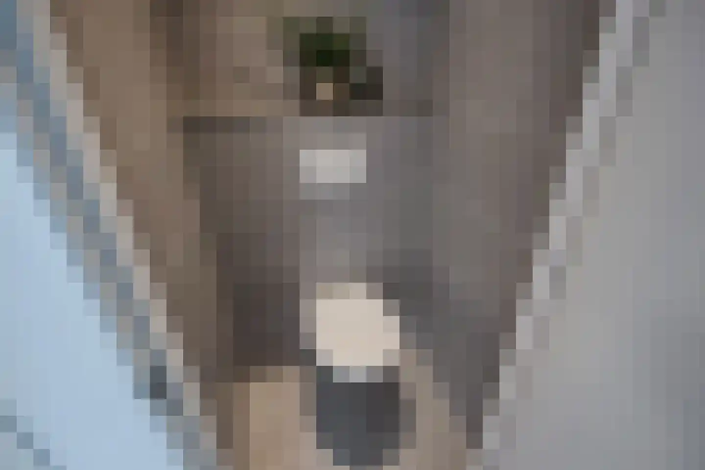 Oosteinde 1 A Delft thumbnail 9