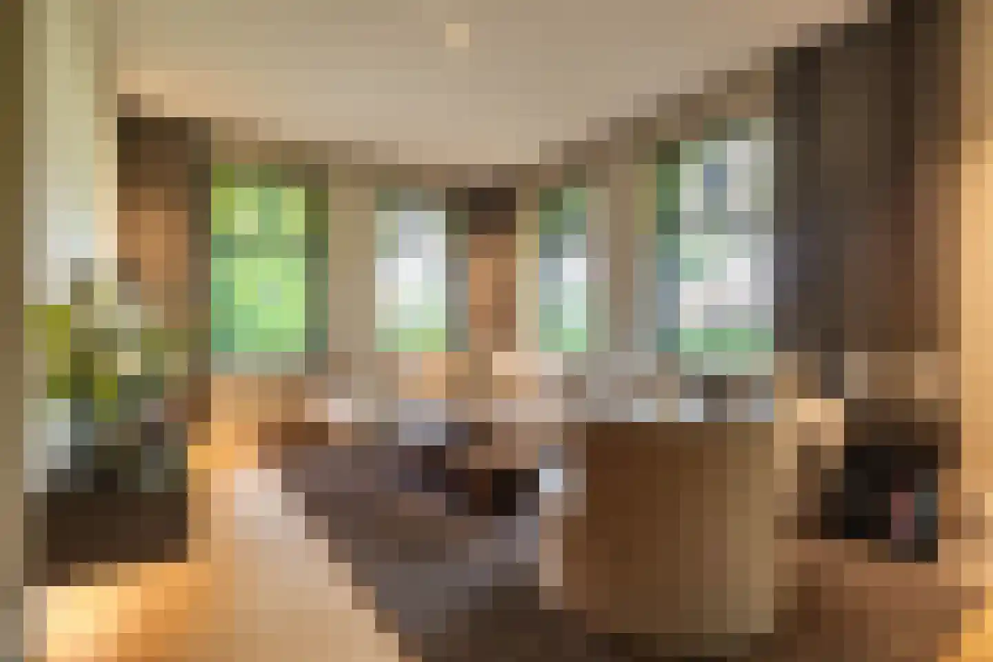 Oosteinde 1 Roden thumbnail 14