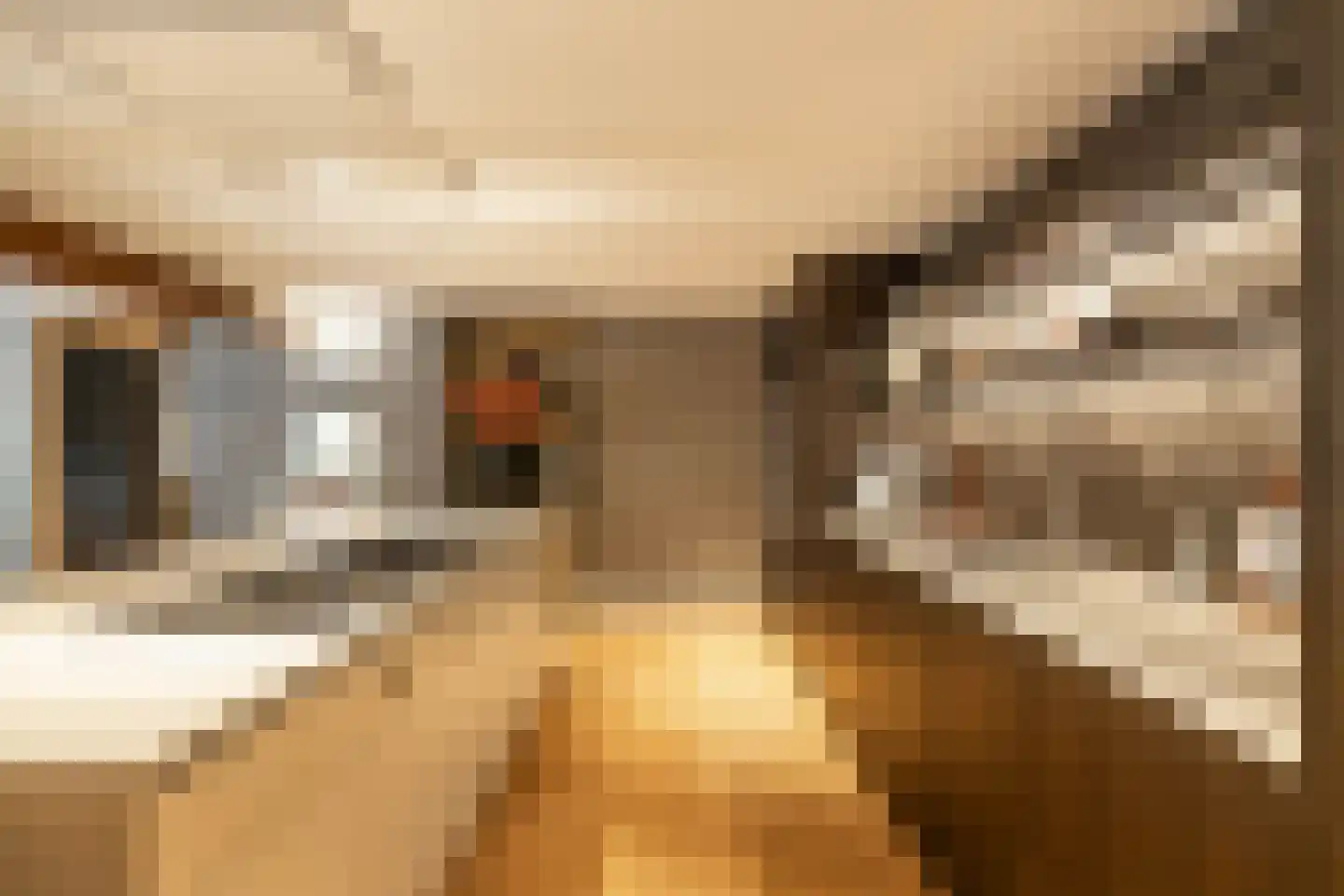 Oosteinde 1 Roden thumbnail 50