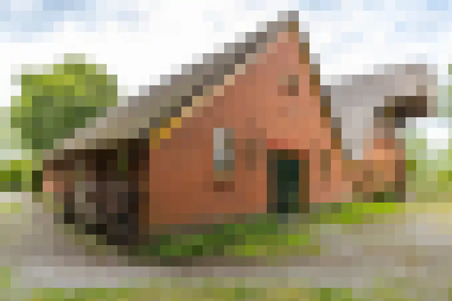 Oosteinde 1 Roden thumbnail 72
