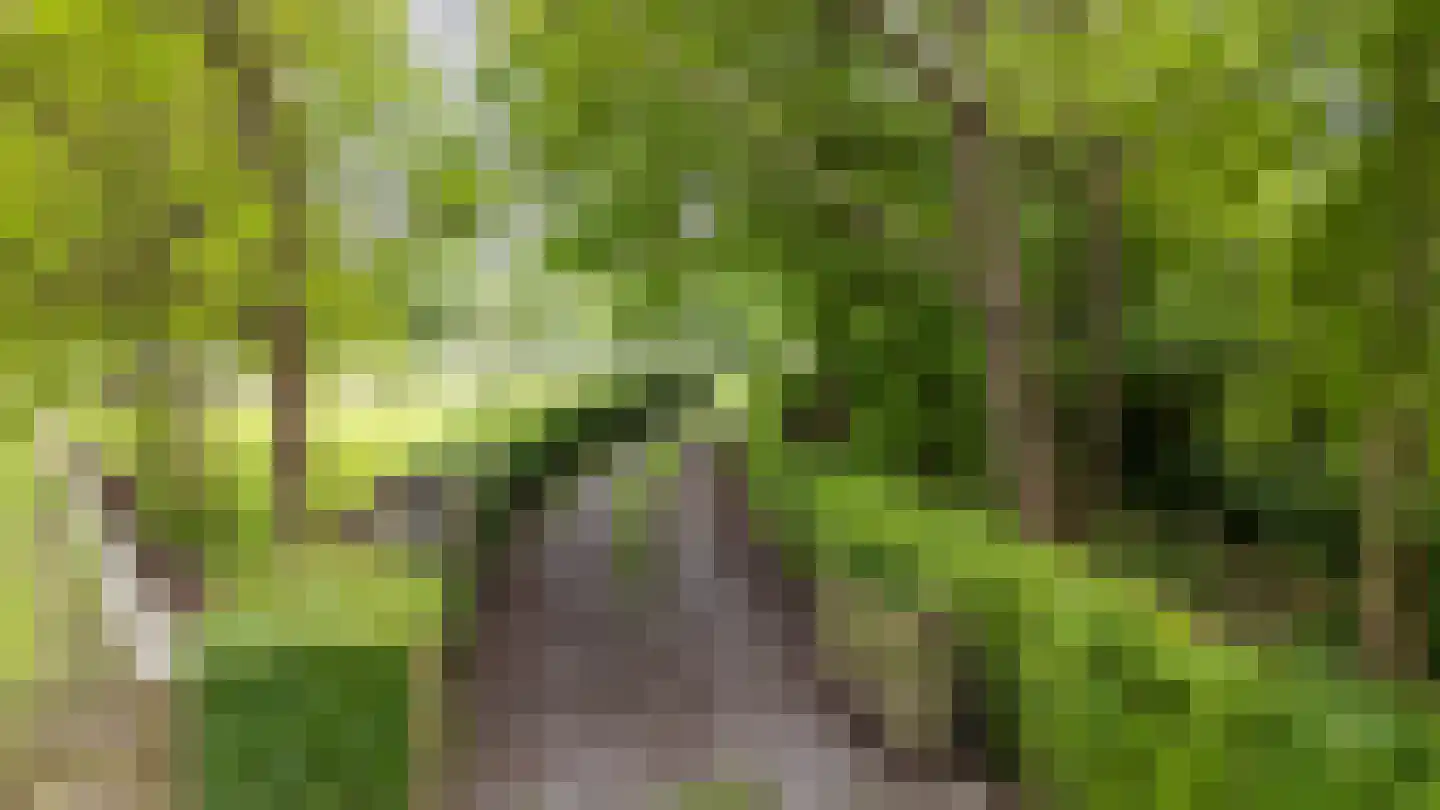 Oosteinde 1 Roden thumbnail 75