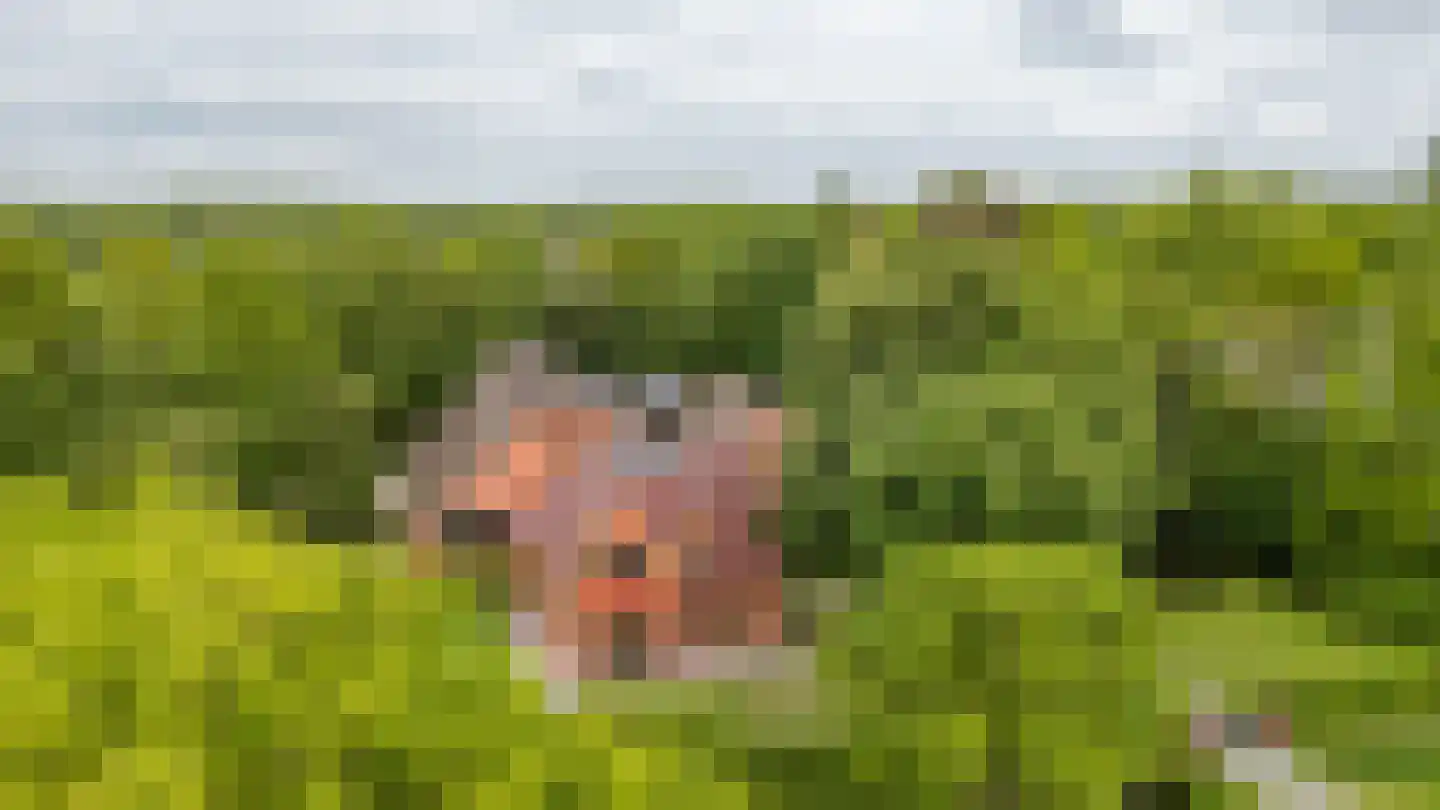 Oosteinde 1 Roden thumbnail 81