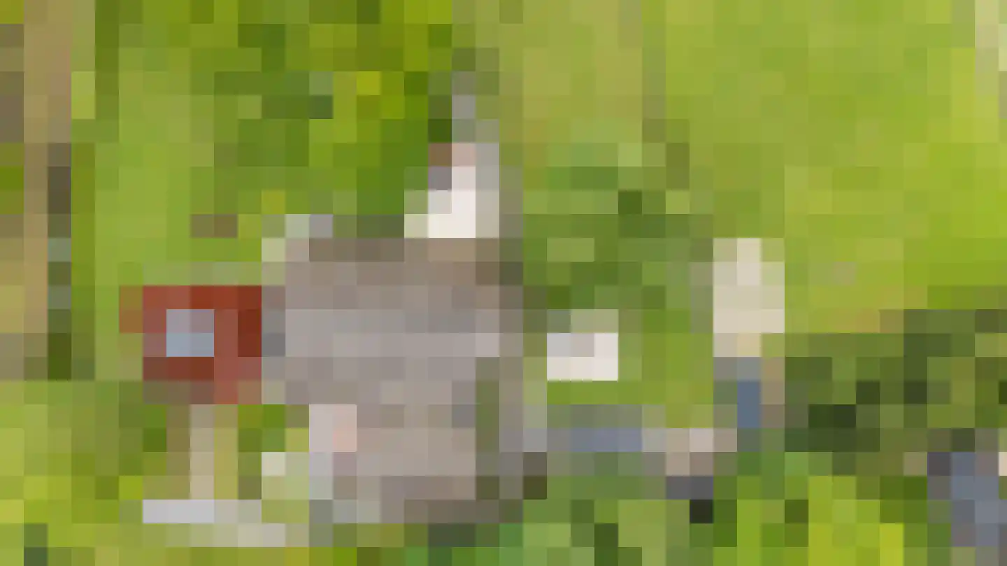 Oosteinde 1 Roden thumbnail 83