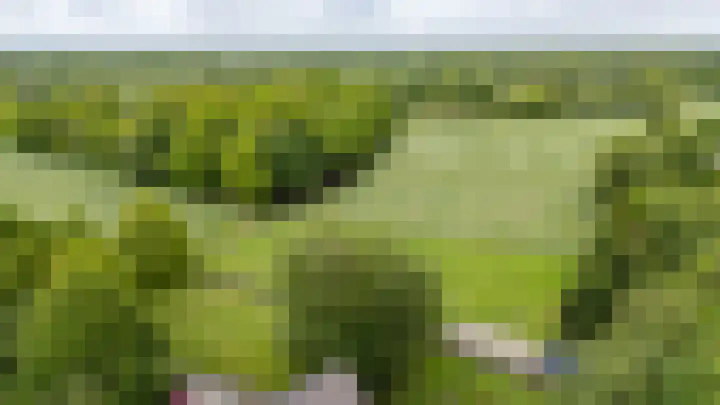Oosteinde 1 Roden thumbnail 84