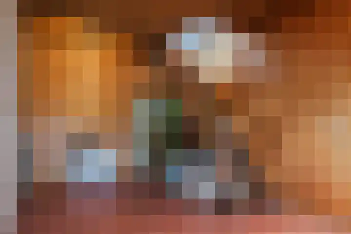 Oosteinde 10 Nieuwleusen thumbnail 10
