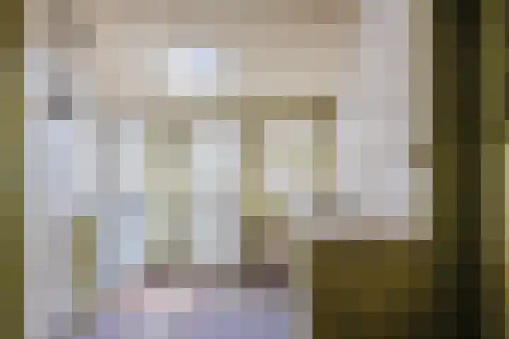 Oosteinde 10 Nieuwleusen thumbnail 13