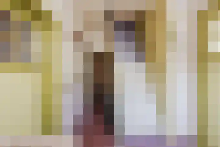 Oosteinde 10 Nieuwleusen thumbnail 14