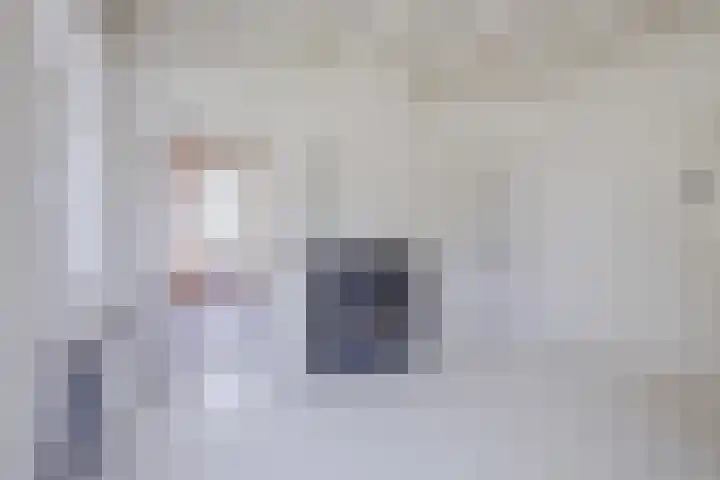 Oosteinde 10 Nieuwleusen thumbnail 16