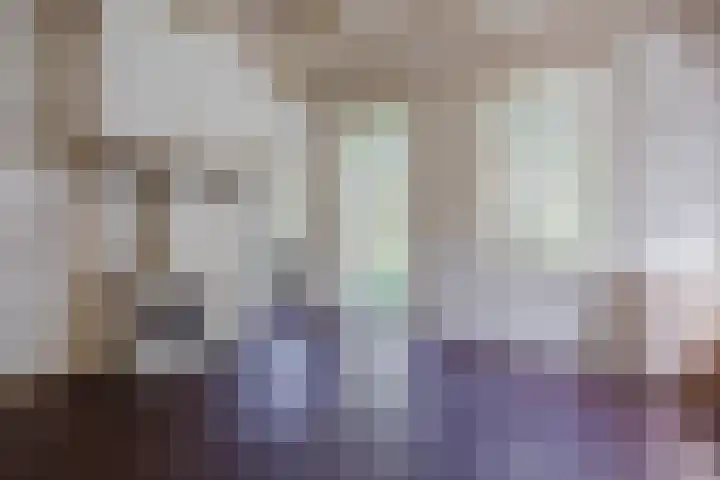 Oosteinde 10 Nieuwleusen thumbnail 17