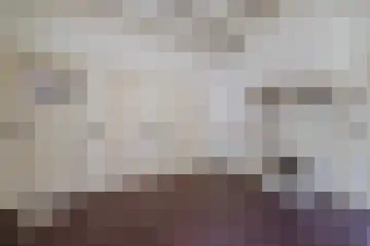 Oosteinde 10 Nieuwleusen thumbnail 18