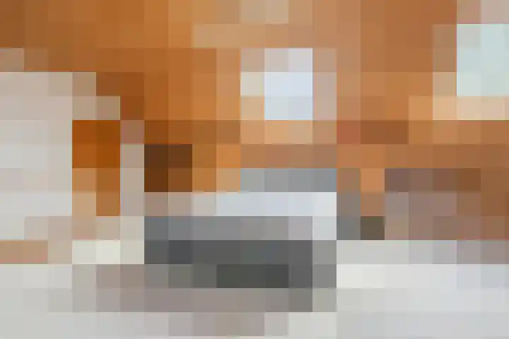 Oosteinde 10 Nieuwleusen thumbnail 21